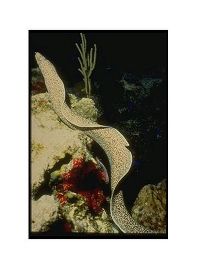 لوحة جدارية لتزيين الحائط مع إطار أسود/أحمر/بيج 20x15سم