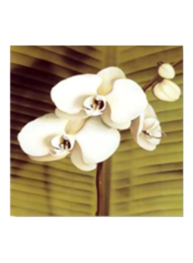PHOTOBLOCK - Decorative Wall Art With Frame White/Beige/Brown 34x34cm - Image 1