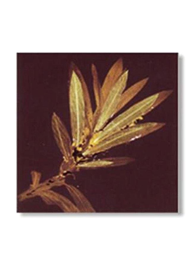 لوحة جدارية لتزيين الحائط مع إطار بني/بيج 20x20سم