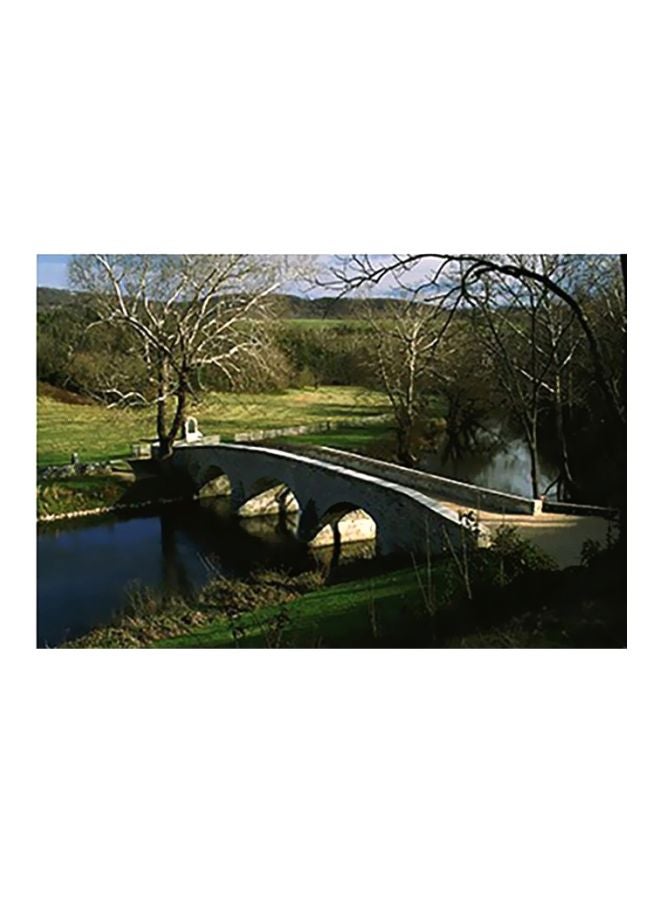 فوتو بلوك بوستر حائط للتزيين أخضر/أبيض/ أزرق 40x60سم