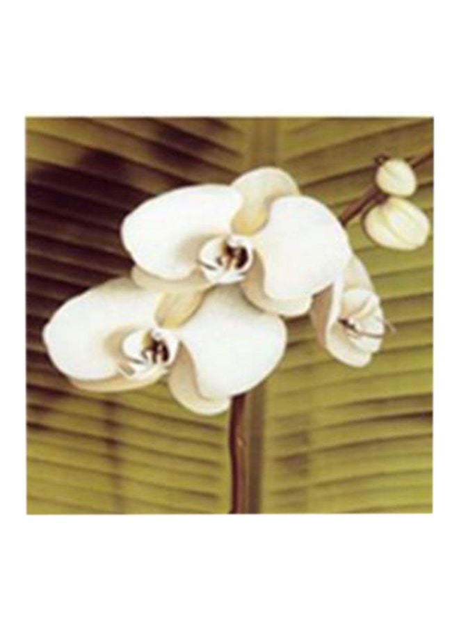 لوحة جدارية لتزيين الحائط مع إطار أخضر / أبيض / أسود 24x24سم