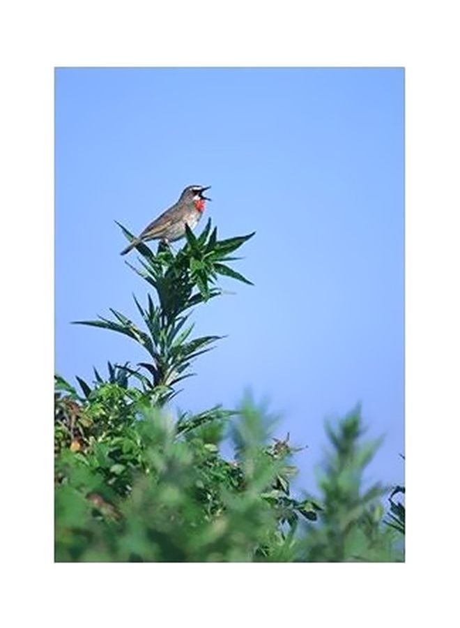 PHOTOBLOCK Decorative Wall Poster Blue/Green/Grey 60x40cm