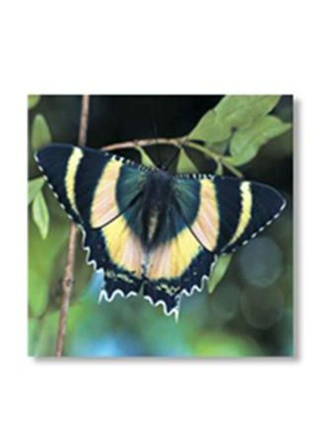 PHOTOBLOCK Decorative Wall Poster Multicolour 15x15cm 