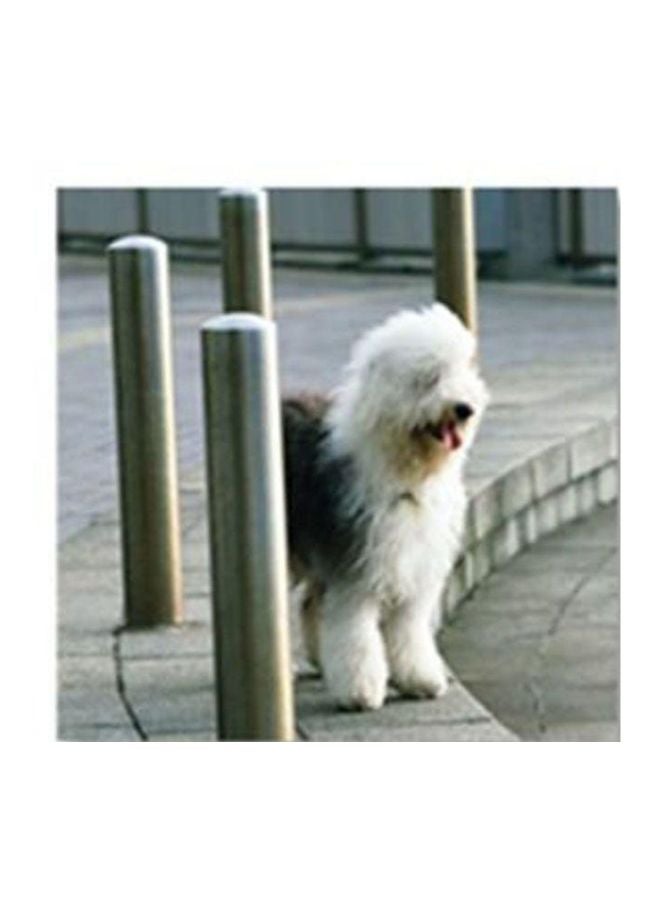 بوستر جداري للتزيين مع إطار متعدد الألوان 24x24سم