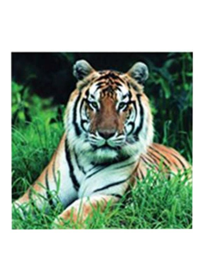 Decorative Wall Art With Frame Multicolour 34x34cm