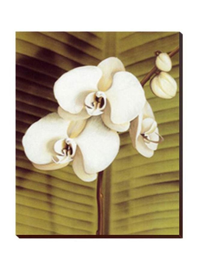 بوستر حائط للتزيين أخضر/أبيض/ بني 34x34سم