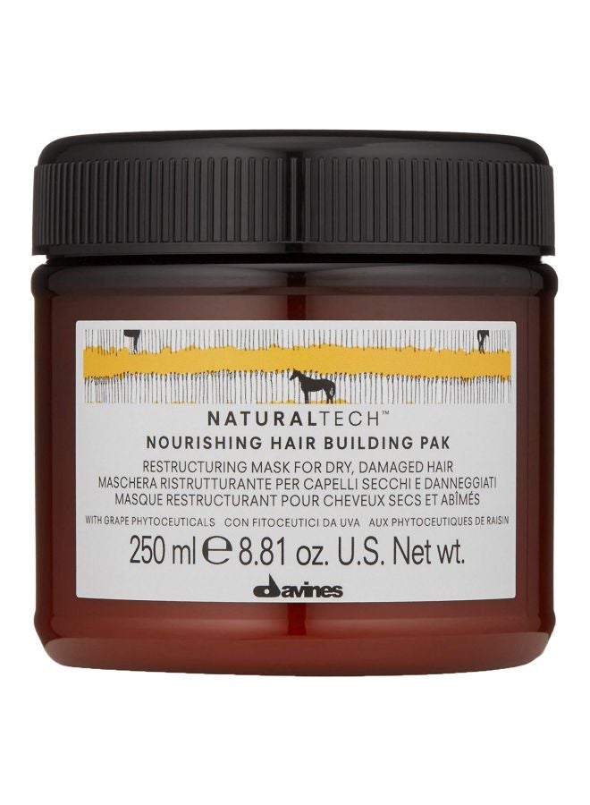 Davines Naturaltech Nourishing Hair Building Pak 250ml