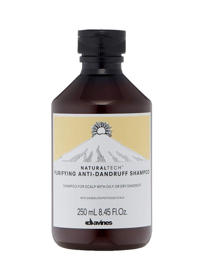 Davines - Naturaltech Purifying Anti-Dandruff Shampoo 250ml - Image 1