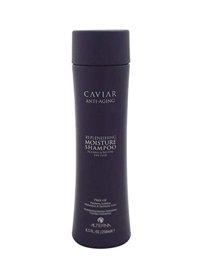 Alterna Caviar Caviar Anti Aging Replenishing Moisture Shampoo