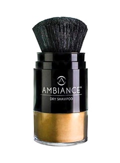 Dry Shampoo Applicator Brush With Refill Gold