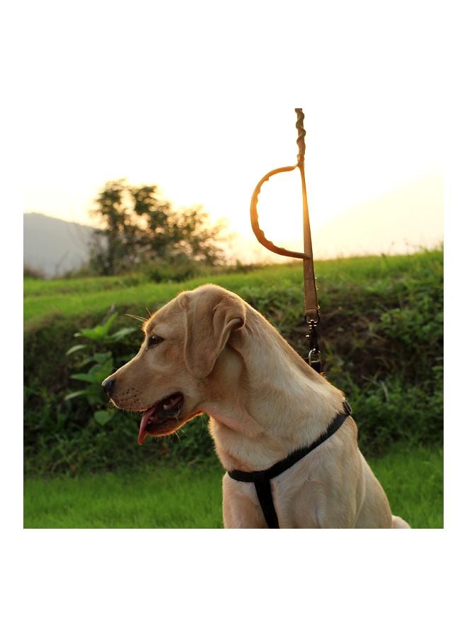 لجام مطاطي للحيوانات الأليفة اللون الأخضر العسكري - Image 2