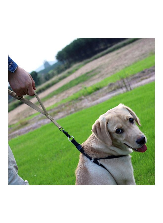 لجام مطاطي للحيوانات الأليفة أسود - Image 2