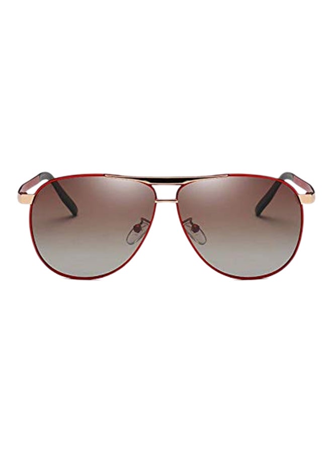 Pilot Polarized Wood Sunglasses - Image 1