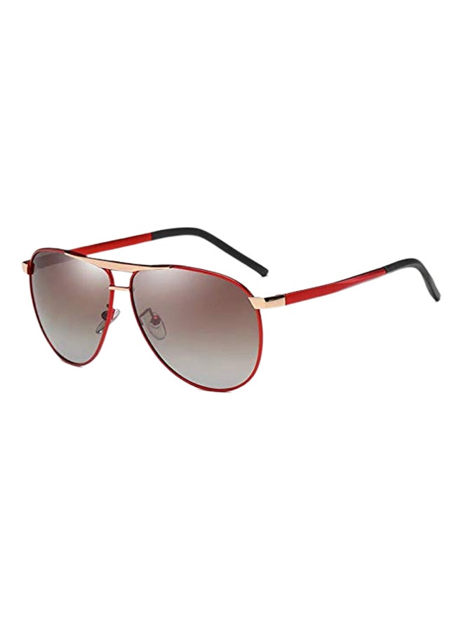Pilot Polarized Wood Sunglasses - Image 2