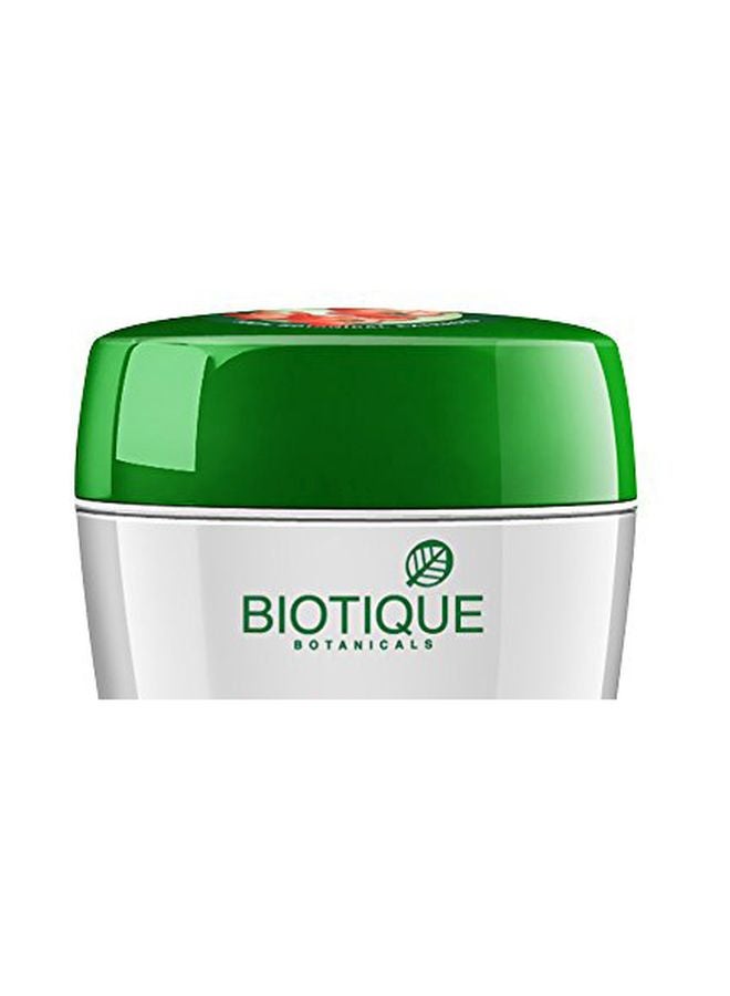 Biotique - Bio Saffron Dew Youthful Nourishing Day Cream 175grams - Image 1