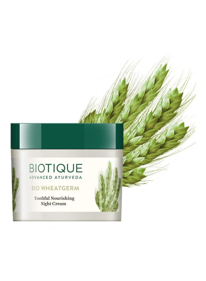 Biotique Pack Of 2 Bio Wheat Night Cream And Bio Cucumber Pore Tightening Toner Set - Image 2