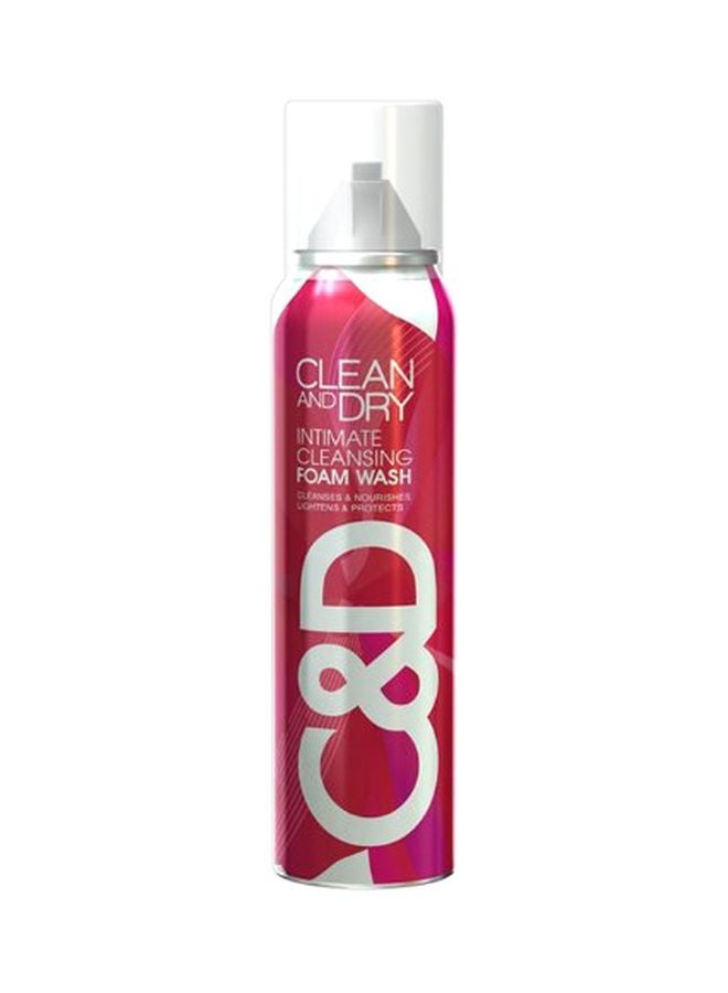 Daily Intimate Cleansing Foam Wash 85grams
