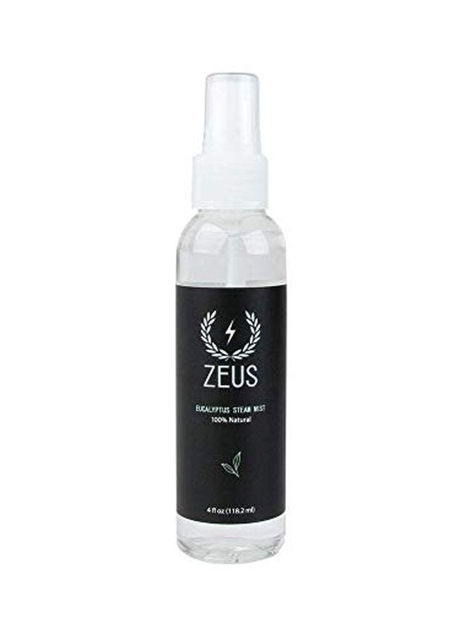 Zeus Eucalyptus Steam And Towel Mist - Image 1