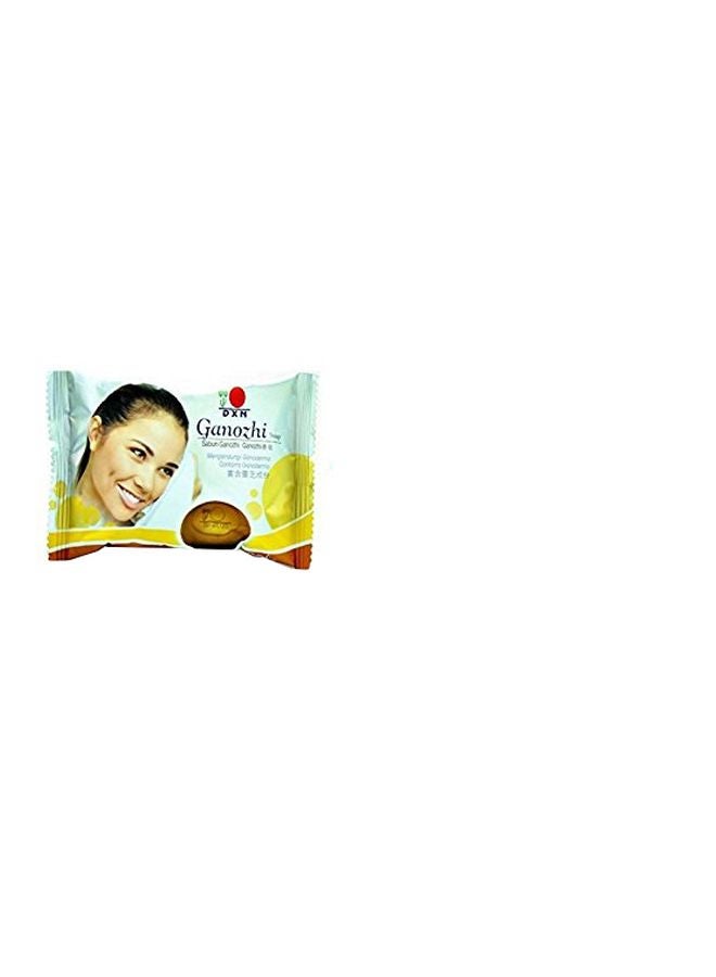 DXN - 2-Piece Ganozhi Soap - Image 1