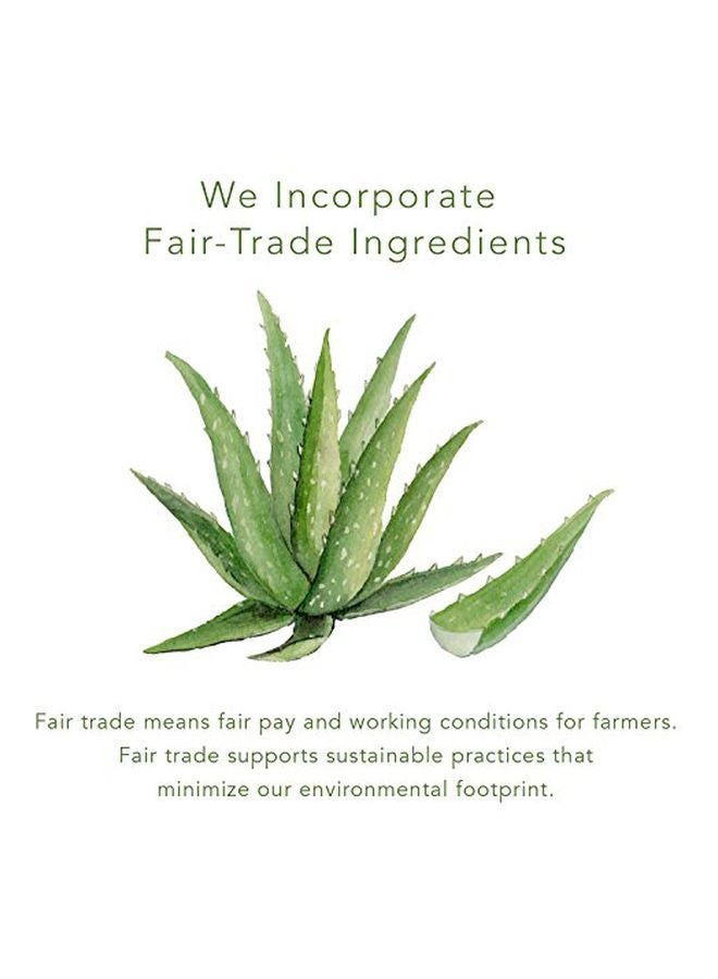 EmerginC Scientific Organics Ginger-Lime Sugar Scrub - Image 2