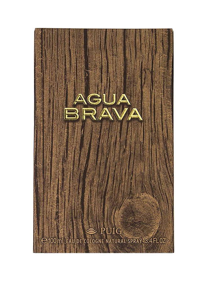 Agua Brava EDC 100ml - v1566818352/N14349496A_3