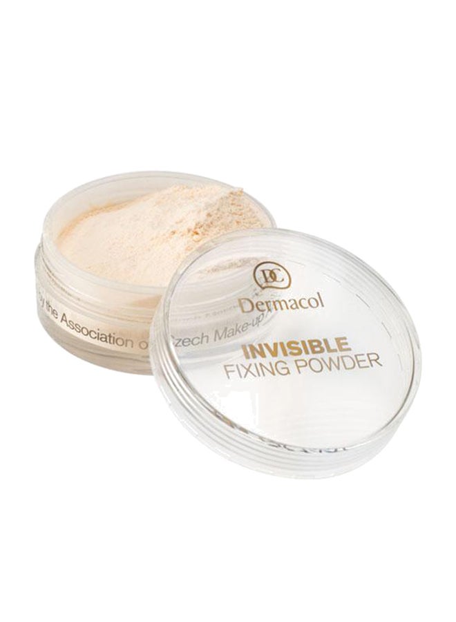Invisible Fixing Powder Natural - v1566909408/N29251873A_1