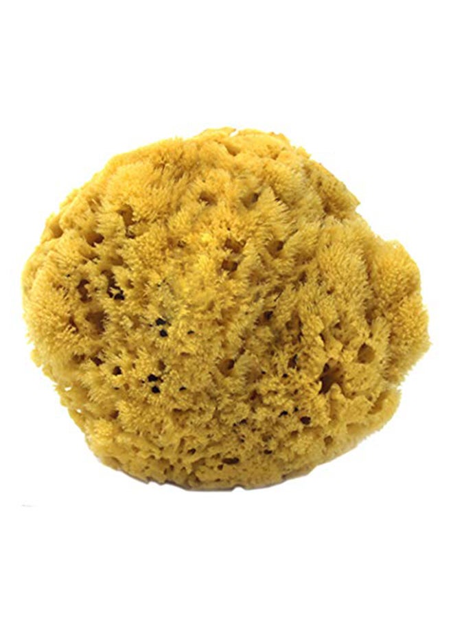 سبا ديستينايشنز إسفنج بحري طبيعي أصفر - Image 1