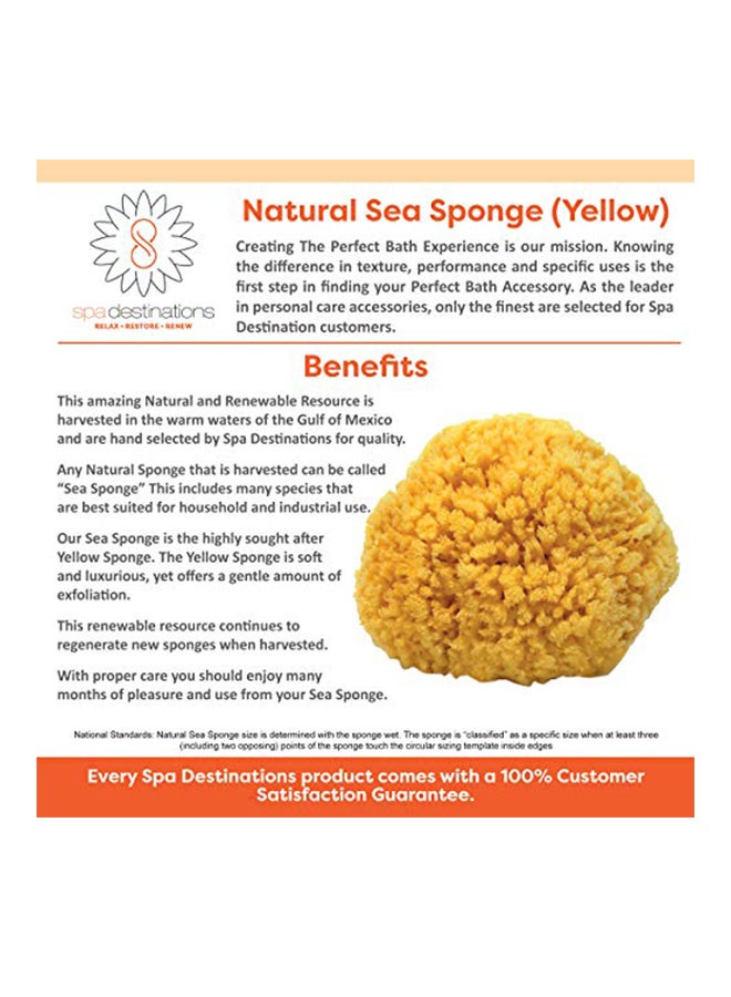 سبا ديستينايشنز إسفنج بحري طبيعي أصفر - Image 2
