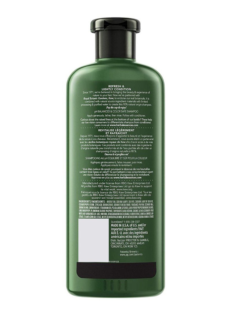 Herbal Essences Biorenew Cucumber And Green Tea Moisture Shampoo 400ml - Image 2
