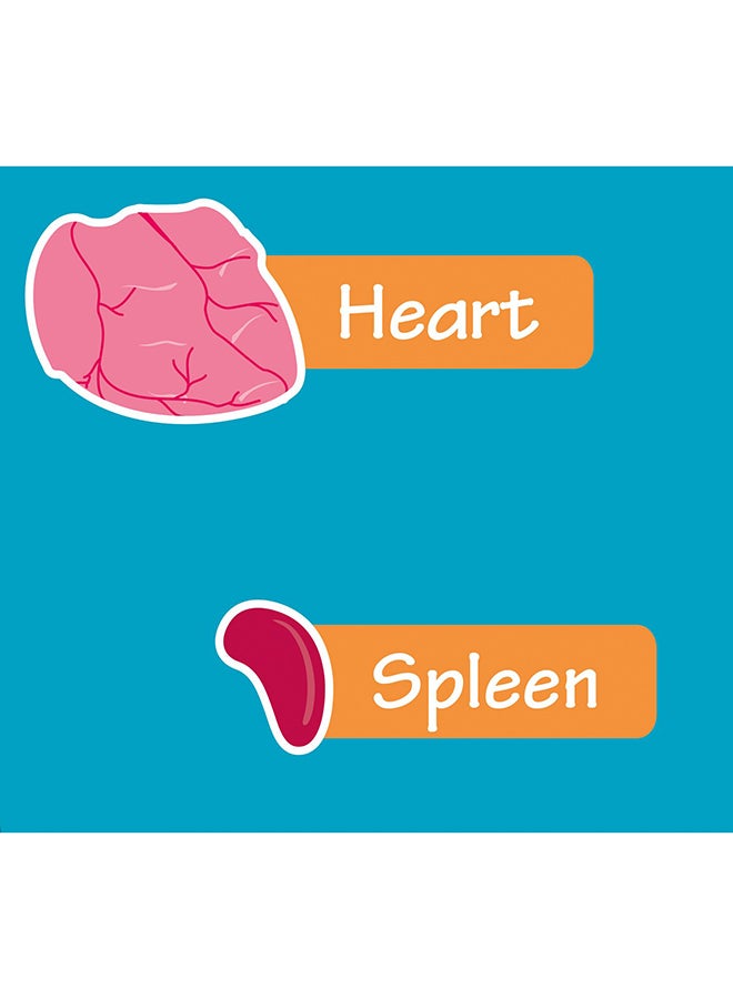 Collins The Human Body Poster Multicolour - Image 3