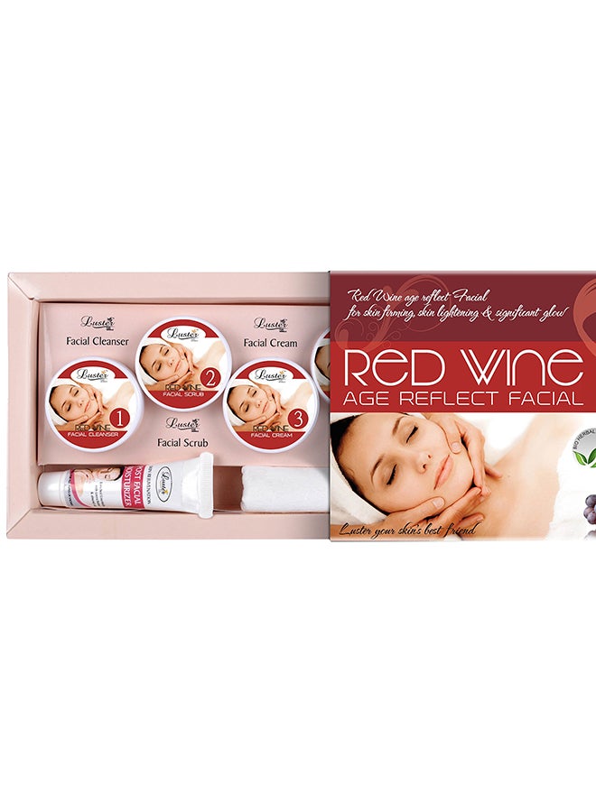 LUSTER Red Wine And Chocolate Facial Kit - Image 3