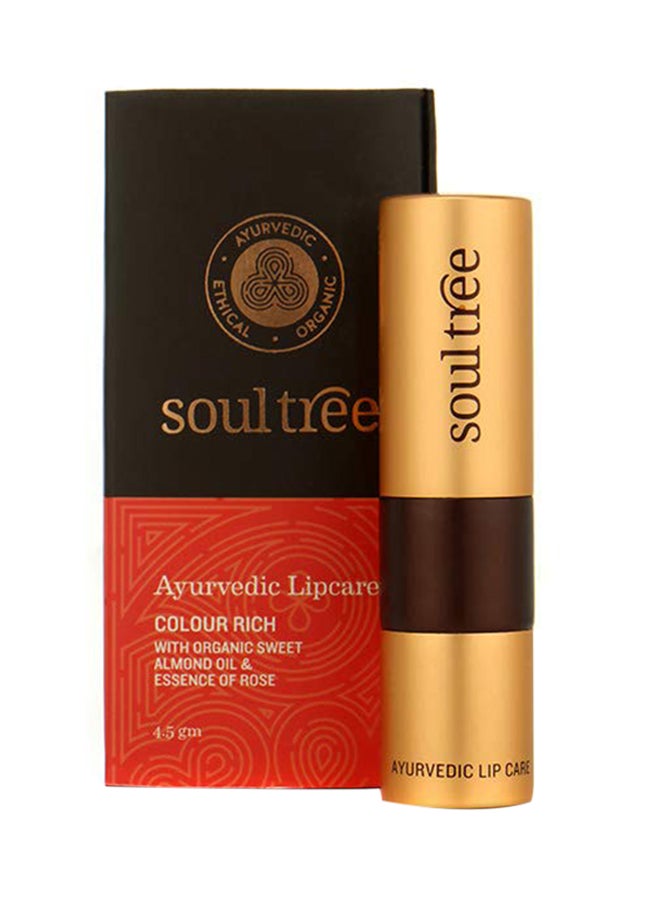 SOULTREE Colour Rich Ayurvedic Lipcare Lipstick 810 Java Brown - Image 2