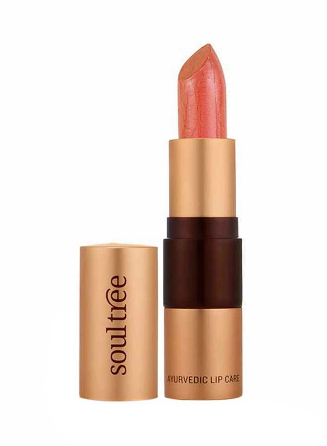 SOULTREE Ayurvedic Lipstick 817 Cantaloupe - Image 1