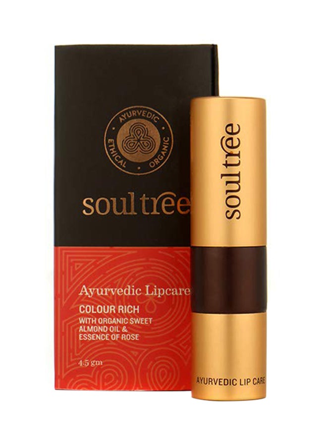 SOULTREE Ayurvedic Lipstick 817 Cantaloupe - Image 2