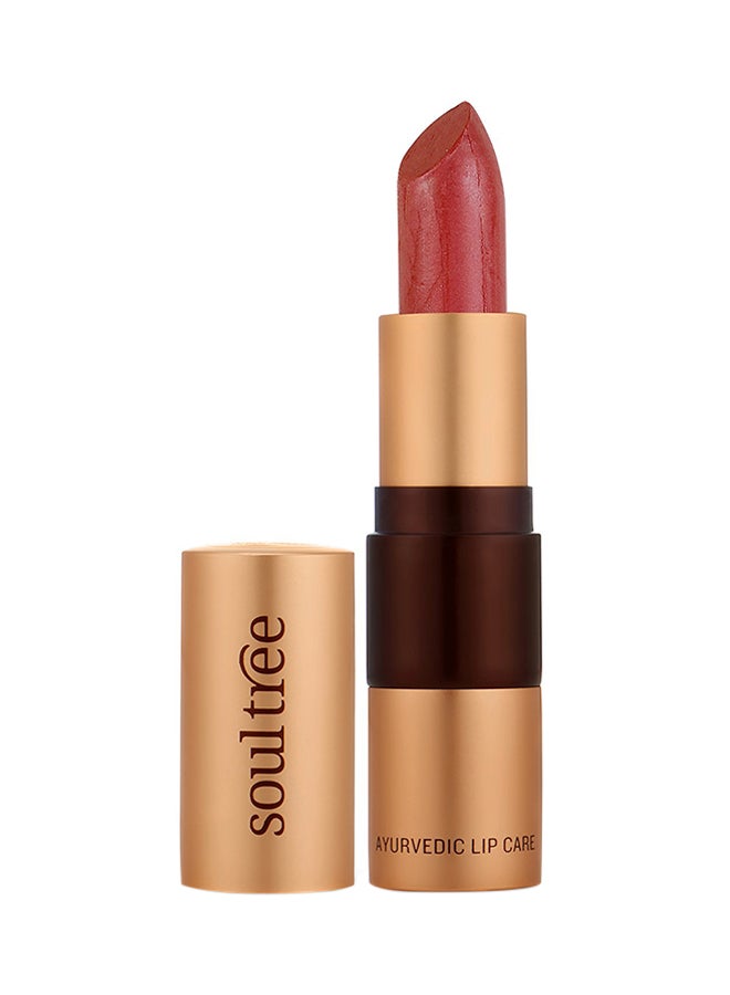 Ayurvedic Lipstick 813 True Brick