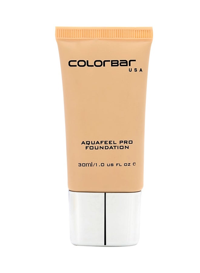 Aqua Feel Pro Foundation Apple Crunch - v1567059240/N29248161A_1