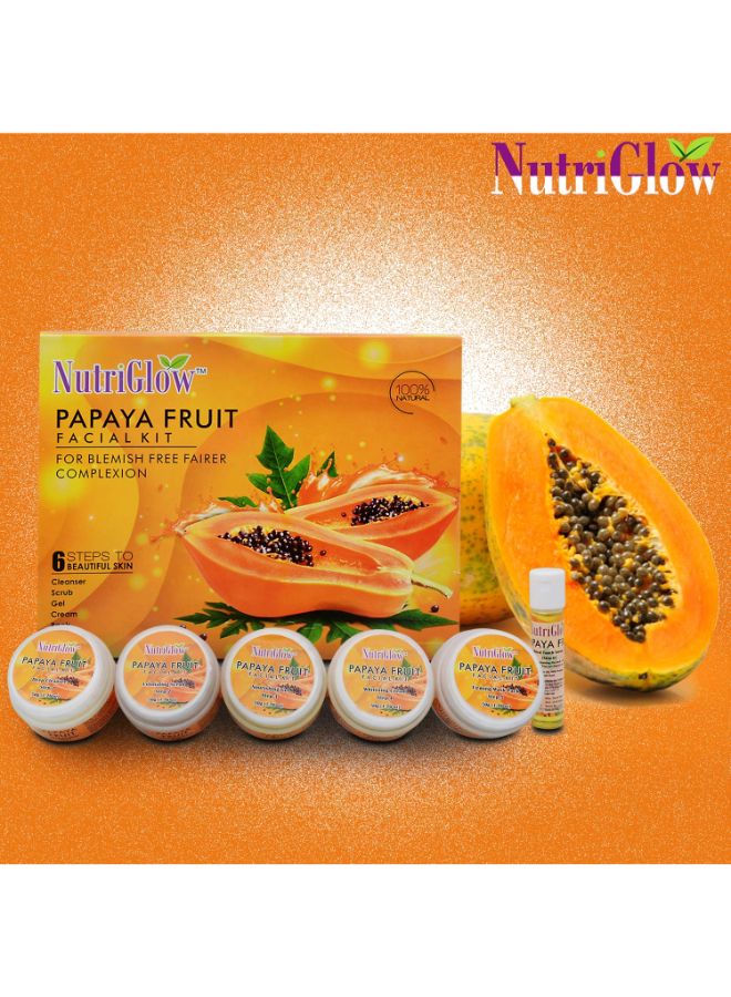 نيوتريجلو مجموعة العناية بالوجه بفاكهة البابايا مع غسول وجه - Image 2