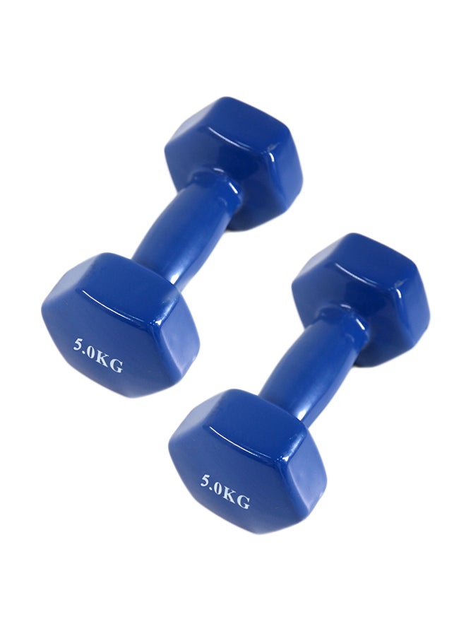 Set Of 2 Hexagonal Dumbbell 10kg