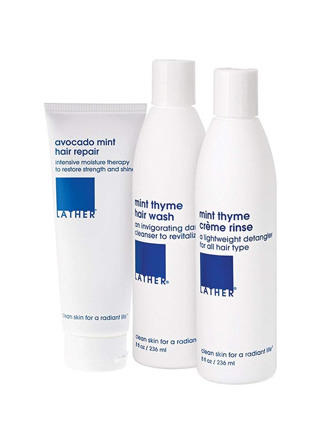 3-Piece Hair Appoint Mint Set of Crème Rinse, Hair Wash And Hair Repair