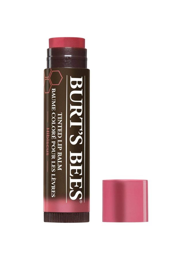 Burt's Bees 2-Piece Tinted Lip Balm Set Hibiscus - Image 1