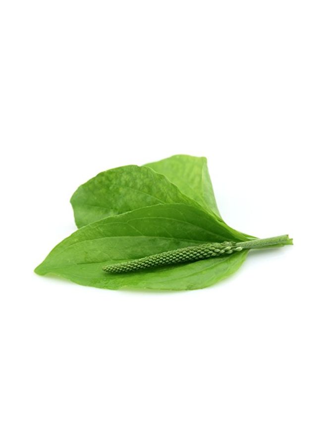 Ora's Amazing Herbal - 3-Piece Lip Balm - Image 1