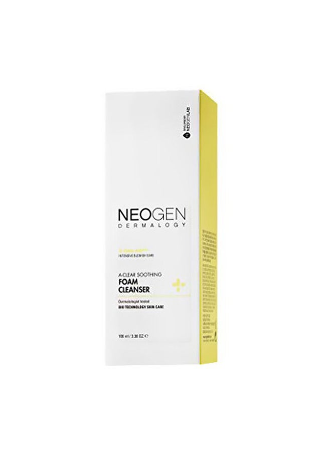 Neogen Dermalogy a clear Soothing Foam Cleanser 100ml  - Image 1