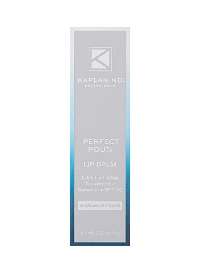 KAPLAN MD Perfect Pout Lip Balm SPF 30 - Image 4