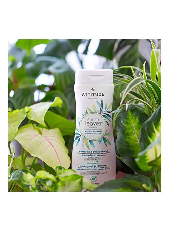 Attitude Super Leaves Nourishing And Strengthening Shampoo 473ml - Image 3