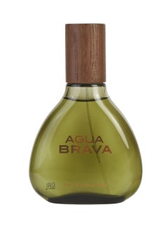 Agua Brava EDC 100ml - v1567414274/N13233605A_1