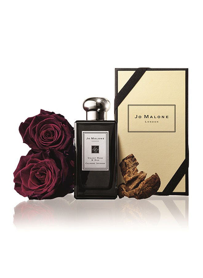 jo Malone - Velvet Rose And Oud Cologne Intense 100ml - Image 1