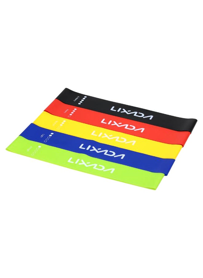 LIXADA 5-Piece Sports Exercise Resistance Loop Band Set - Image 2