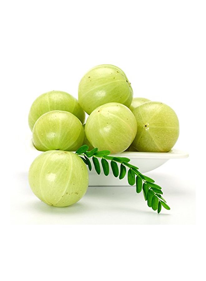 Havintha - Natural Amla Powder 227grams - Image 1
