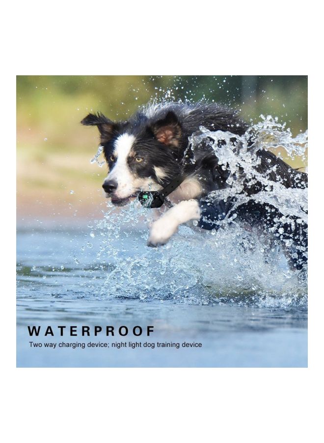 Rechargeable LCD Display Training Collar Black - Image 2