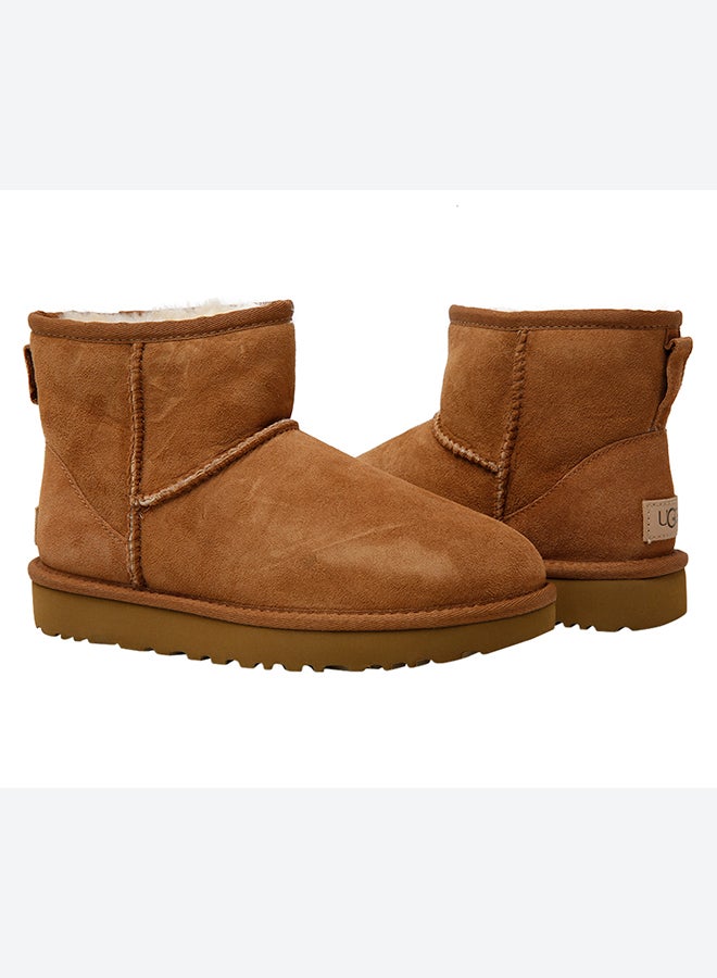 UGG - Classic Mini Boots Brown - Image 1